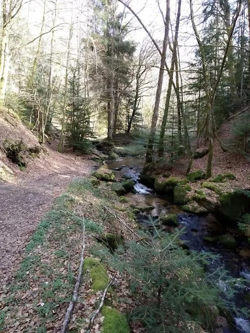 Grand Gite Confortable En Auvergne - Belle Vue Brousse 0*,