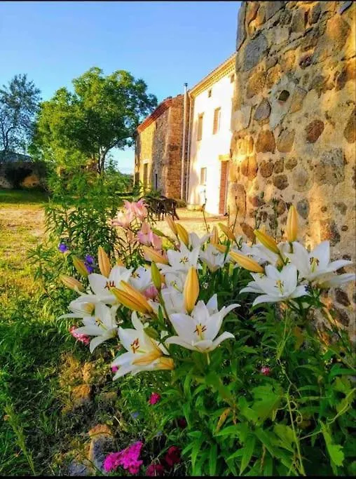 Holiday home Grand Gite Confortable En Auvergne - Belle Vue Brousse